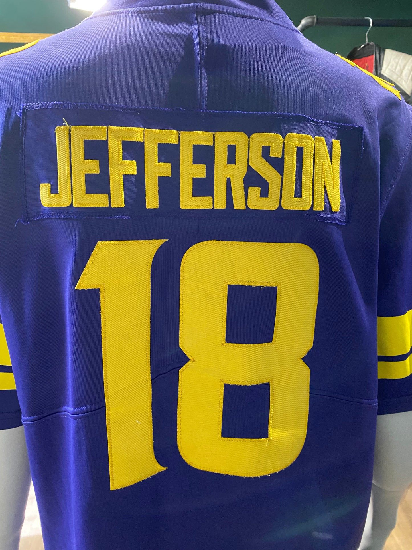 Vintage NFL Vikings Jersey S Lila